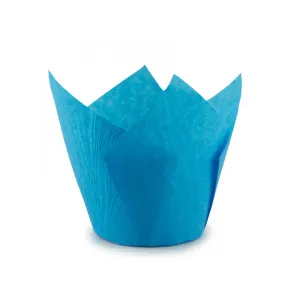 c2a9a8420ccdceea89aa97f2ac821b0e